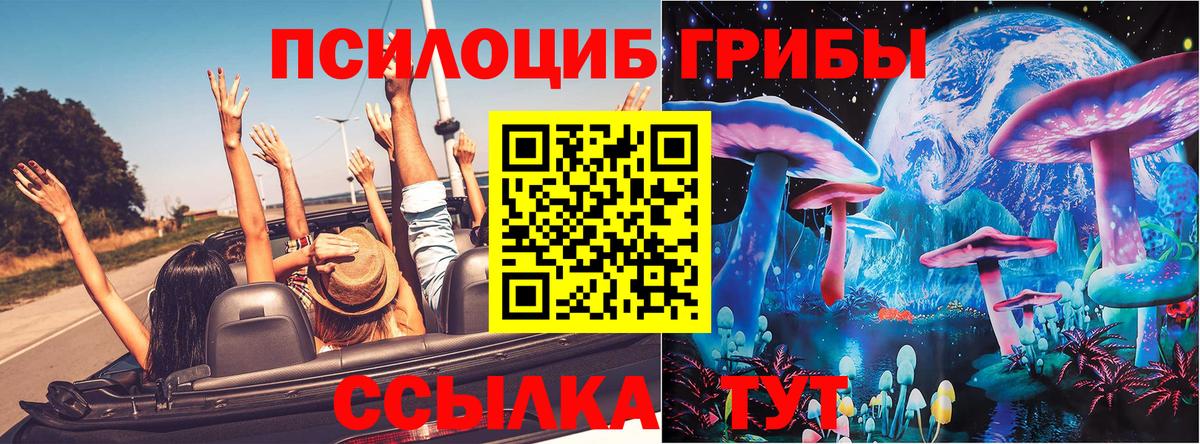Галлюциногенные грибы Cubensis  Вход с VPN  где купить наркоту  Асбест 